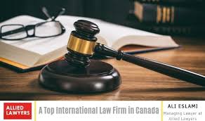 Understanding the Role and Importance of International Lawyers 1346988207 Understanding the Role and Importance of International Lawyers 1346988207