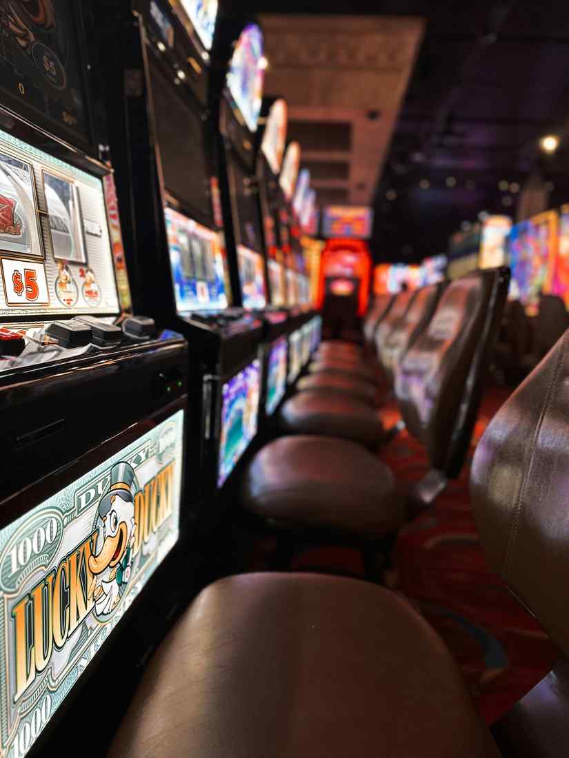 https://cashedcasino-nz.com https://cashedcasino-nz.com